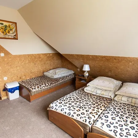 Bed & Breakfast U Haliny
