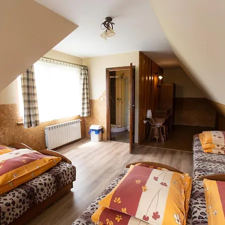 U Haliny Отель типа 