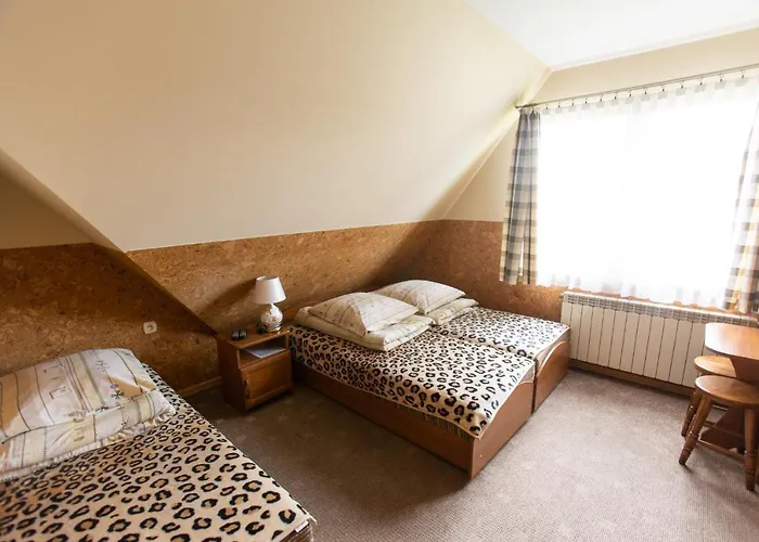 U Haliny 3* Biały Dunajec